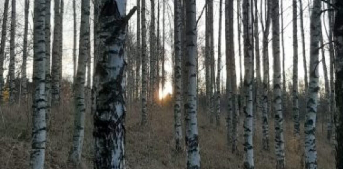 psykoterapia työnohjaus helsinki